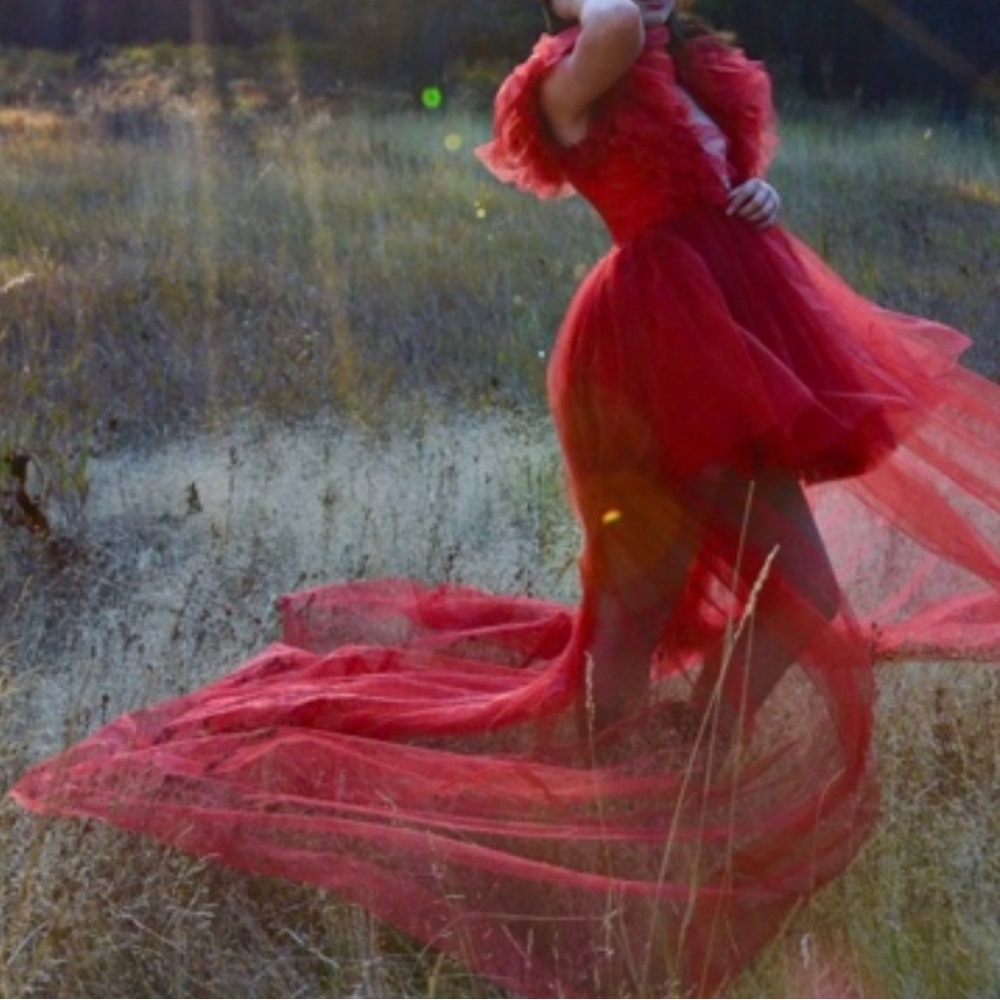 Custom Red Tulle Extended Train Dress - Size 4
